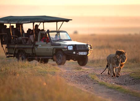 Northern Kenya Safari Adventure